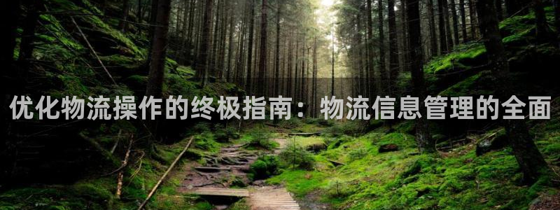 28圈ccm官網版:優化物流操作的終