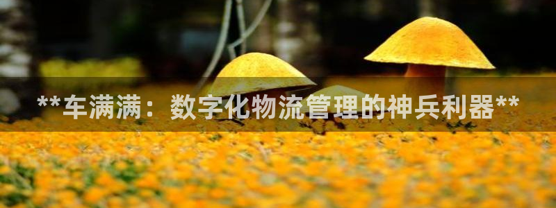 28圈怎么注冊(cè)賬號(hào):**車滿滿:數(shù)字