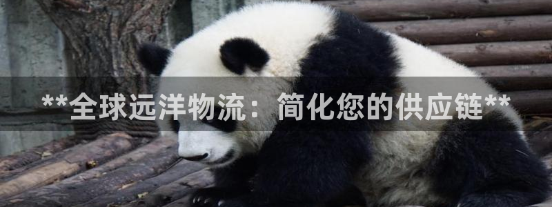 28圈模擬器下載:**全球遠(yuǎn)洋物流: