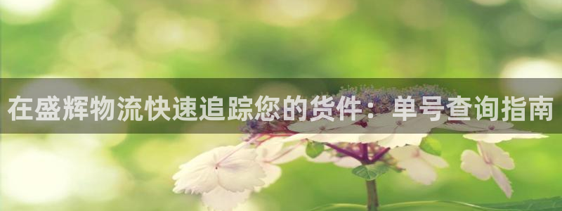 28圈注冊登錄流程：在盛輝物流快速追