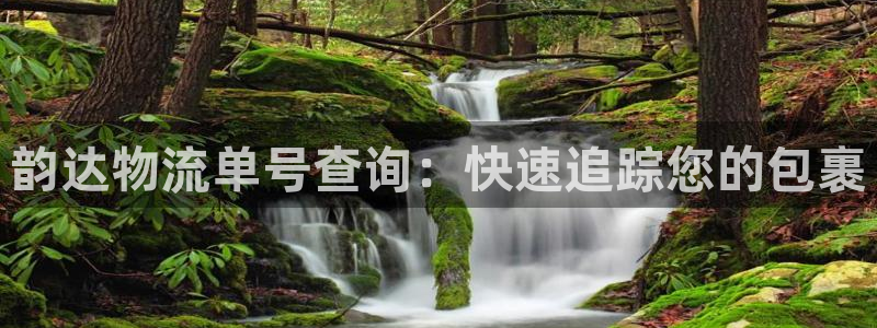 28圈模擬器下載:韻達物流單號查詢: