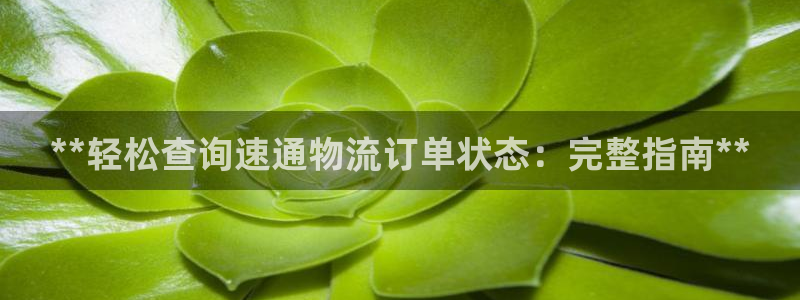 28圈比特28真實(shí)嗎:**輕松查詢速