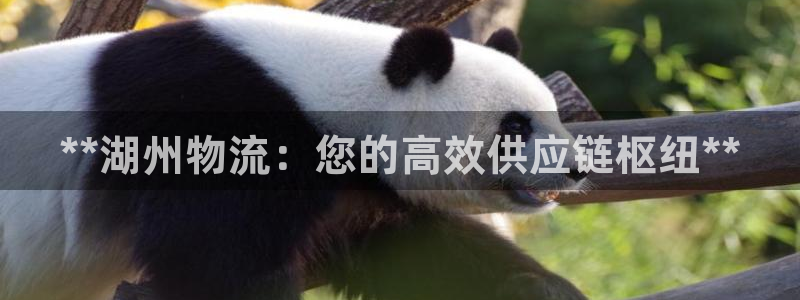 28圈注冊問一問:**湖州物流:您的