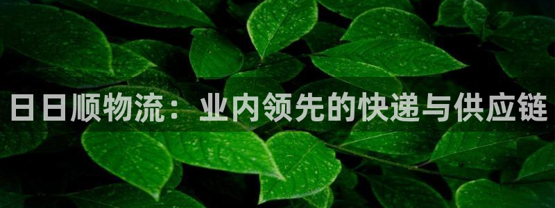 28圈龍虎:日日順物流:業(yè)內(nèi)領(lǐng)先的快