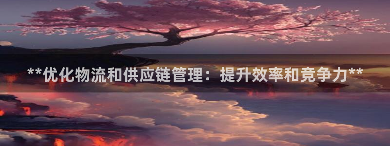 28圈是正規(guī)平臺嗎:**優(yōu)化物流和供