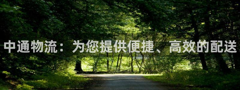 28圈麻將胡了爆分視頻:中通物流:為