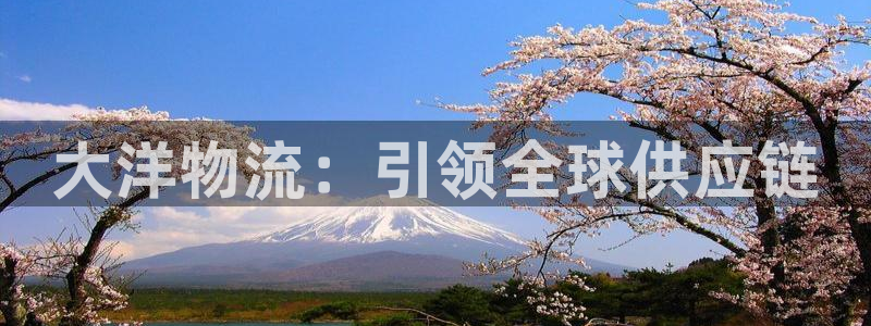 28圈注冊賬號:大洋物流:引領全球供