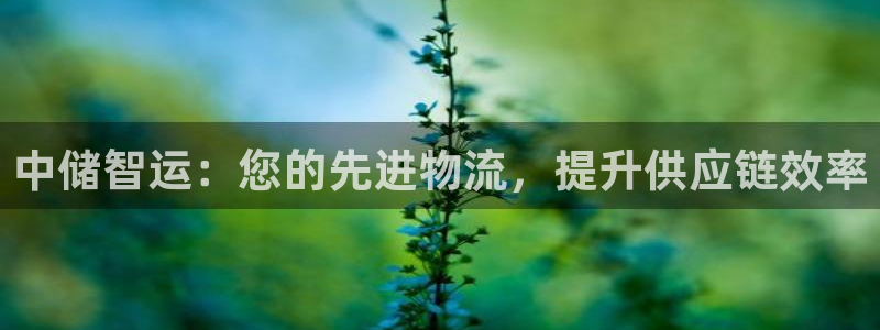 28圈p扣除是什么意思