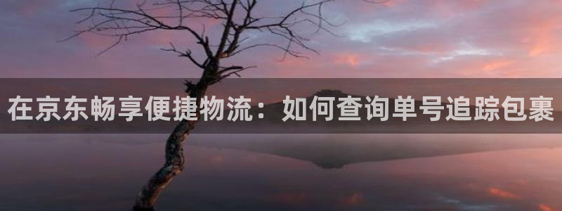 28圈官網注冊:在京東暢享便捷物流: