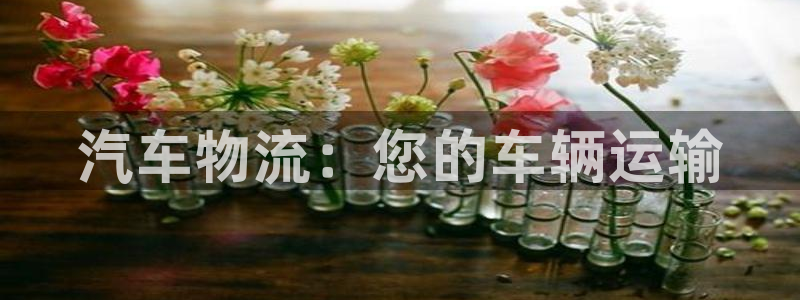 28圈注冊鏈接入口:汽車物流:您的車