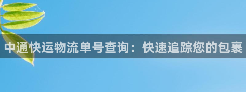 28圈官網開獎結果預測查詢:中通快運
