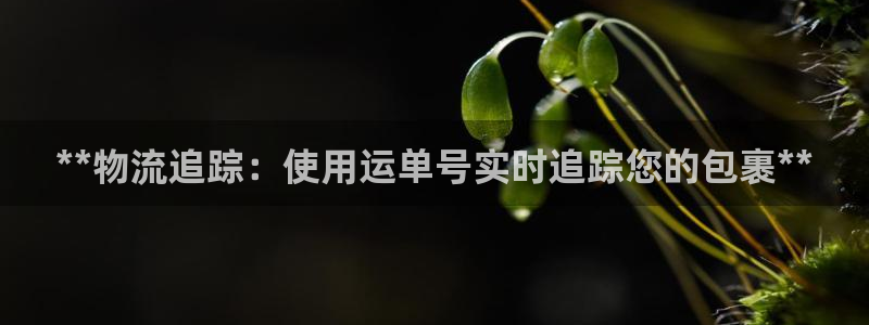 28圈軟件是什么:**物流追蹤:使用