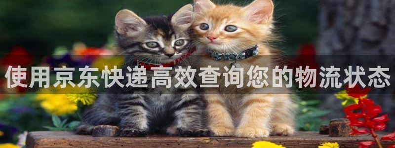 28圈違法嗎:使用京東快遞高效查詢您
