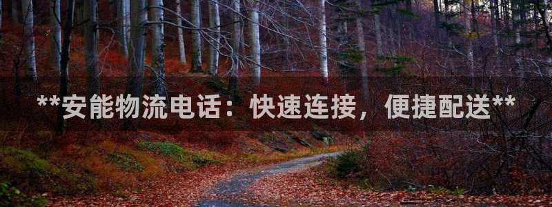 28圈下分了不給錢:**安能物流電話