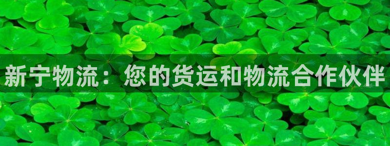 28圈官網(wǎng)平臺下載