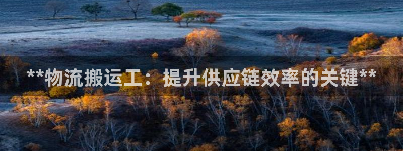 28圈如何退款：**物流搬運工：提升