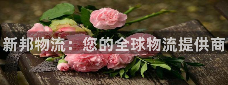 28圈pg麻將胡了