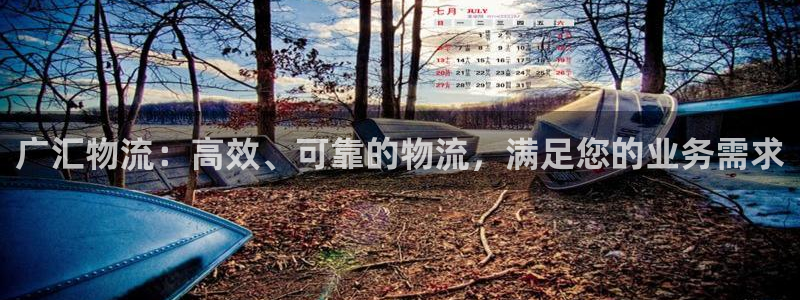 28圈加拿大是什么