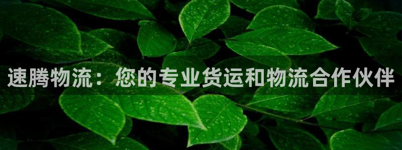 28圈注冊二維碼