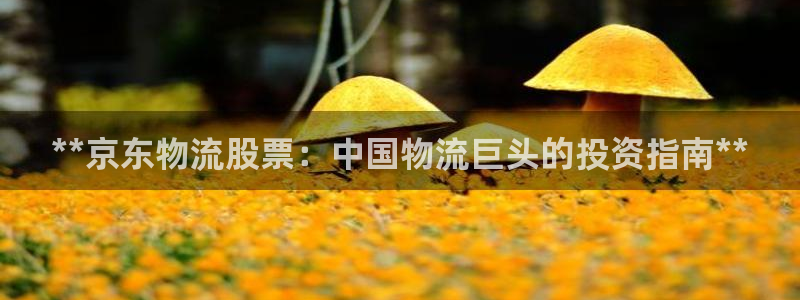 28圈能提現嗎:**京東物流股票:中