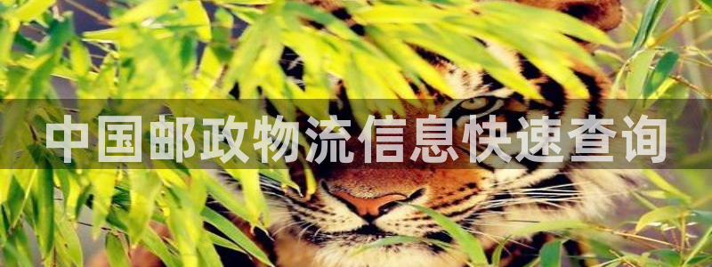 28圈綠骨頭:中國郵政物流信息快速查