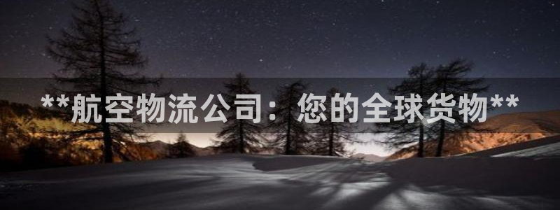 28圈軟件是什么：**航空物流公司：