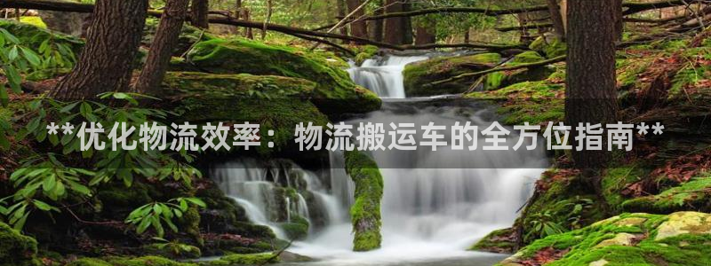 28圈麻將胡了在線試玩:**優化物流