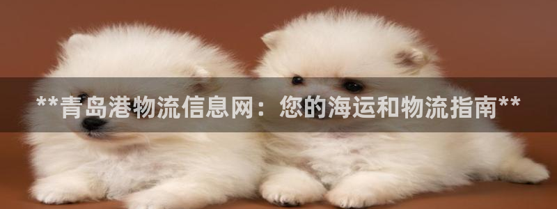 28圈相信品牌的力量:**青島港物流