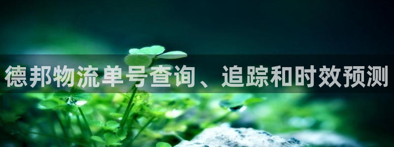 28圈充值不到賬怎么辦