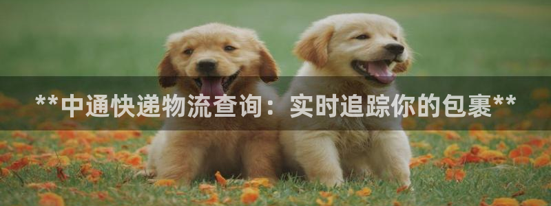 28圈充值不到賬什么原因:**中通快