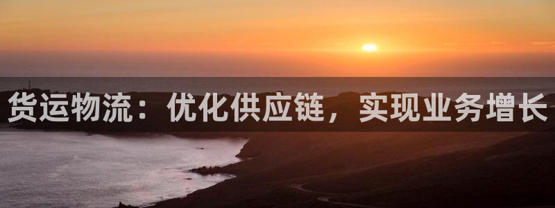 28圈模擬器下載:貨運物流:優化供應