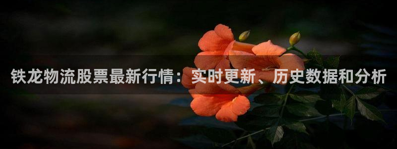 28圈能贏錢嗎：鐵龍物流股票最新行情