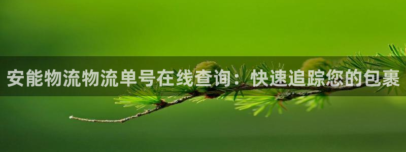 28圈反水什么時候到