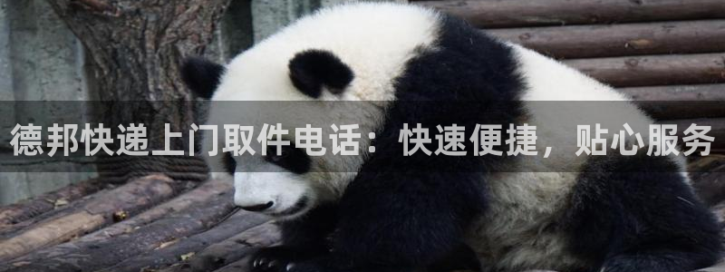 28圈官網(wǎng)預(yù)測(cè)