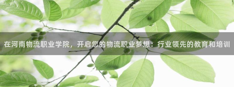 加拿大28圈數字規則