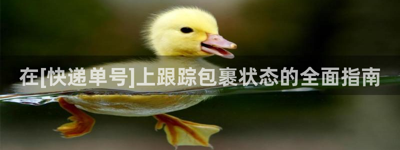 28圈軟件有什么用