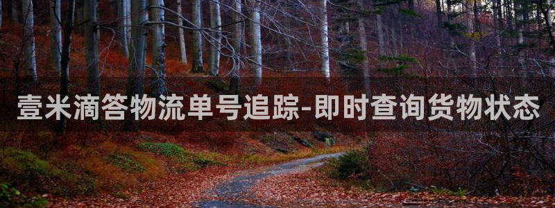 28圈如何注銷賬號