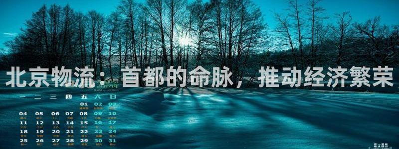 28圈反水怎么算:北京物流:首都的命