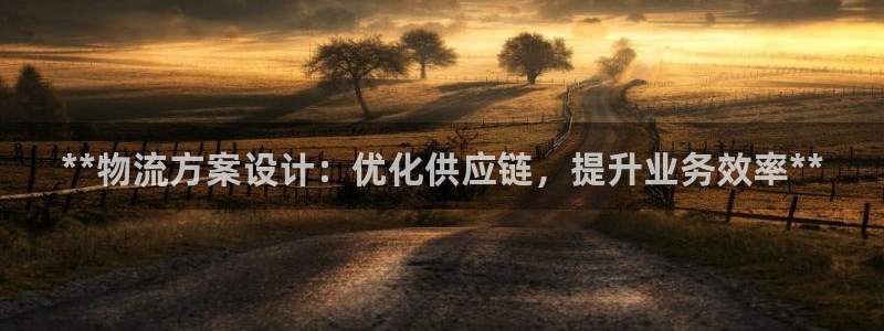 28圈登錄不上咋回事：**物流方案設