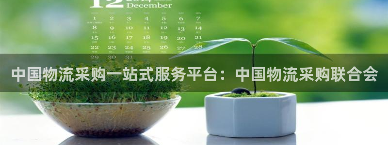 28圈預測加拿大