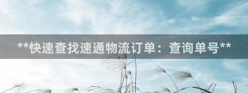 28圈大舞臺(tái)