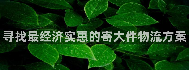 28圈客服一直不回消息怎么辦:尋找最