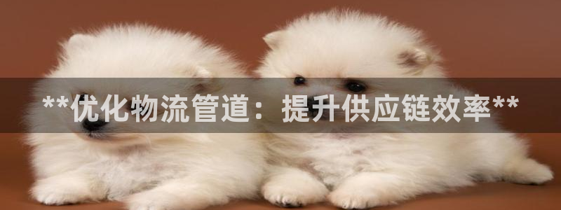 28圈注冊(cè)號(hào)