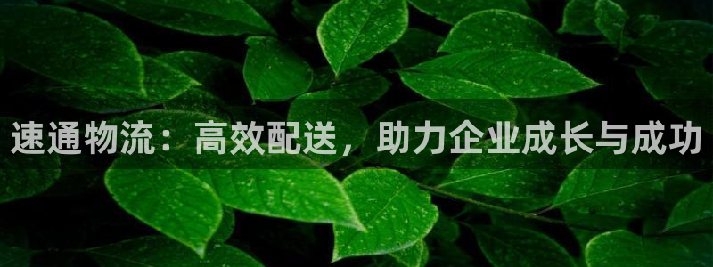 28圈登錄不上咋回事