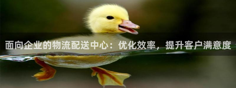 28圈加拿大模擬器:面向企業的物流配