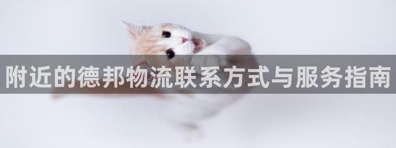 28圈下載二維碼怎么弄:附近的德邦物