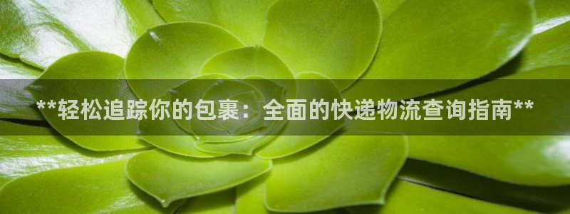 28圈官方網(wǎng)站預(yù)測(cè)