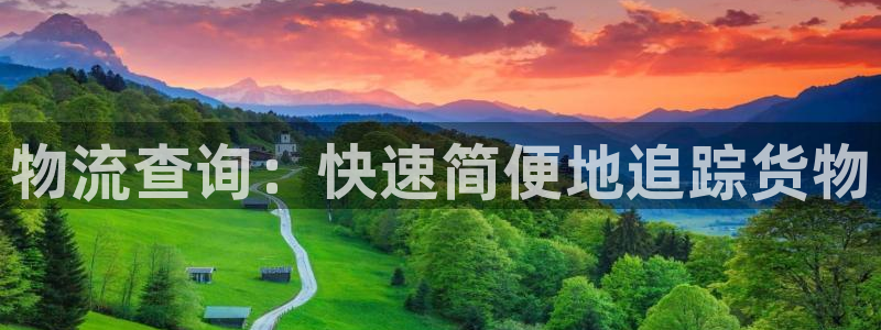 28圈哪個最賺錢:物流查詢:快速簡便