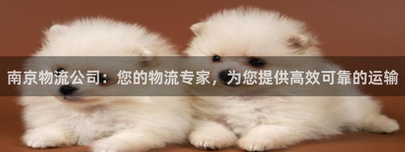 28圈鏈官網:南京物流公司:您的物流
