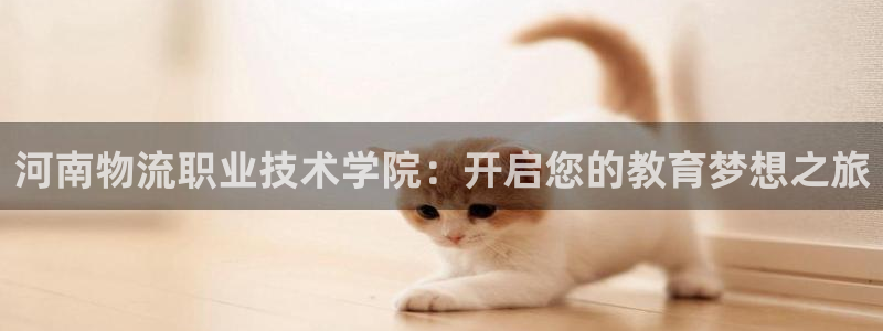 自行車28圈是什么意思:河南物流職業(yè)